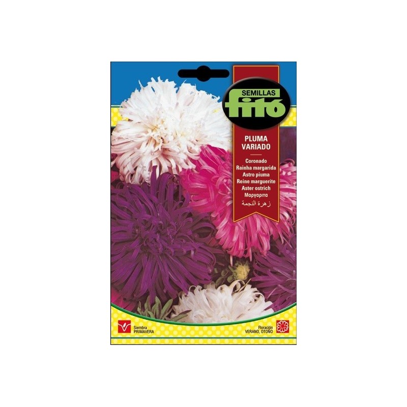 coronado pluma vaiado