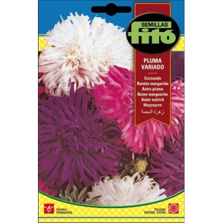 coronado pluma vaiado