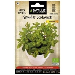 menta piperita - semillas ecolÃ³gicas