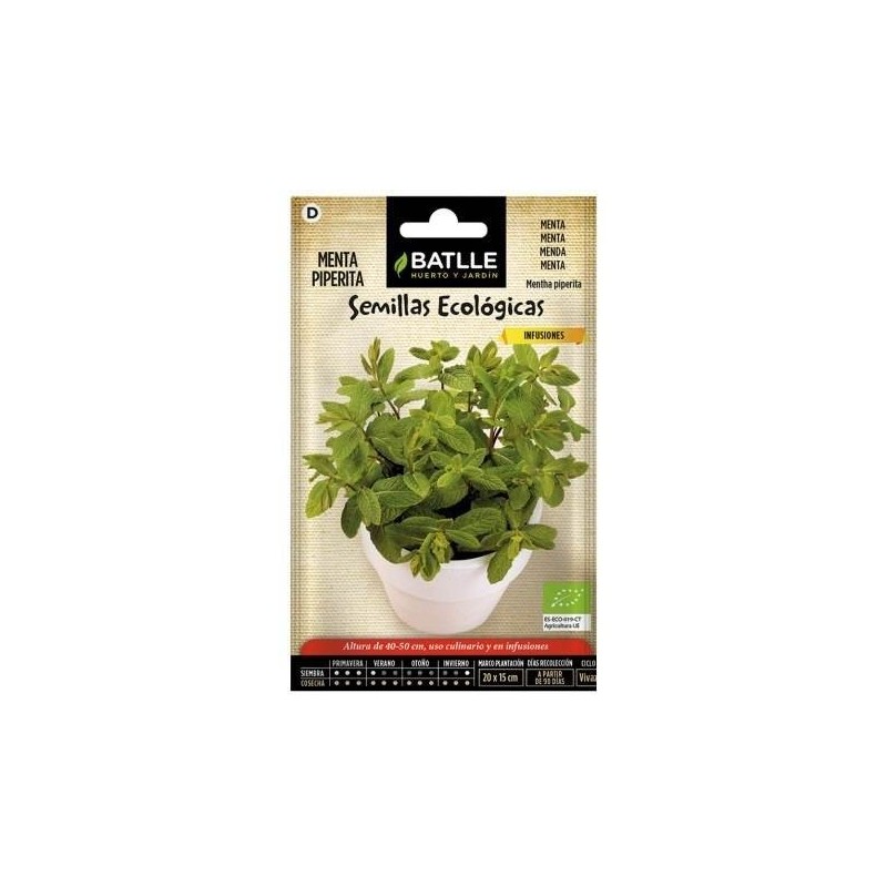 menta piperita - semillas ecolÃ³gicas