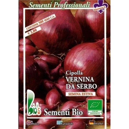 cebolla southport red globe (semillas ecologicas)