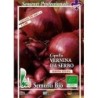 cebolla southport red globe (semillas ecologicas)