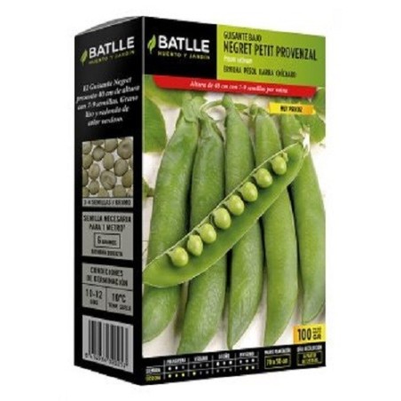 guisante enano negret precoz de provenza