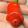 Pimiento erotico - Peter penis