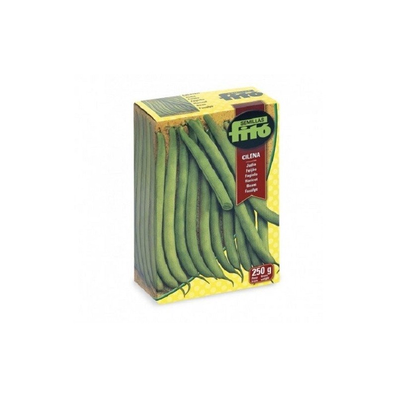 JudÃ­a cilena FitÃ³