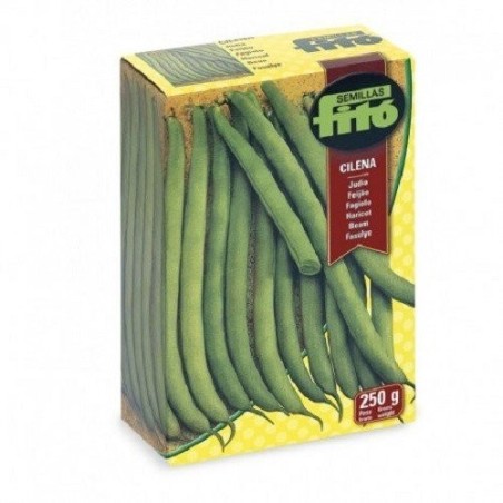 JudÃ­a cilena FitÃ³