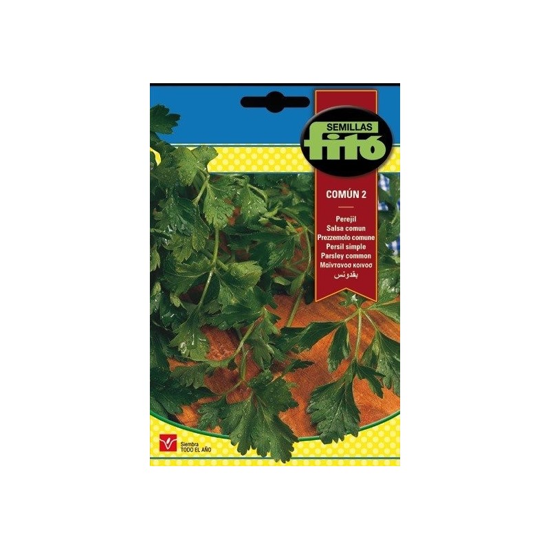 perejil comun