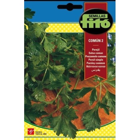 perejil comun
