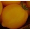 Tomate citrina - semillas no tratadas
