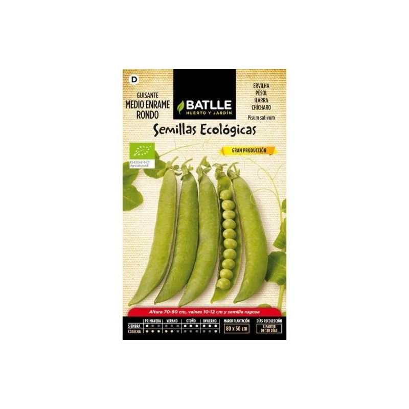 guisante medio enrame rondo - semillas ecolÃ³gicas