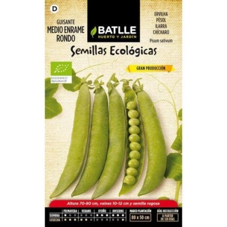 guisante medio enrame rondo - semillas ecolÃ³gicas