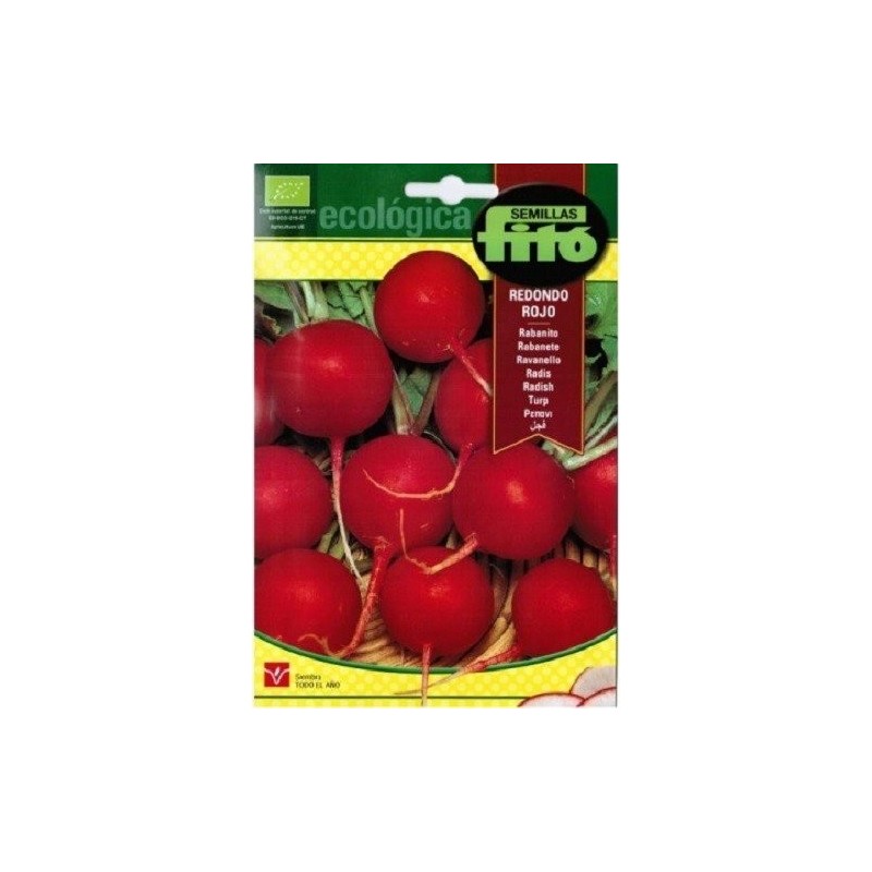 rabanito redondo rojo Vermell - semillas ecolÃ³gicas