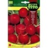rabanito redondo rojo Vermell - semillas ecolÃ³gicas