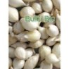 bulbos de cebolla blanca agostana - ecolÃ³gico