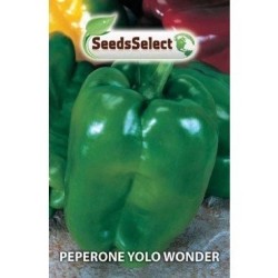 pimiento yolo wonder