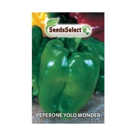 pimiento yolo wonder