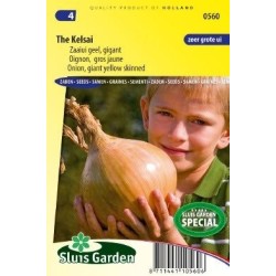 cebolla gigante The kelsai