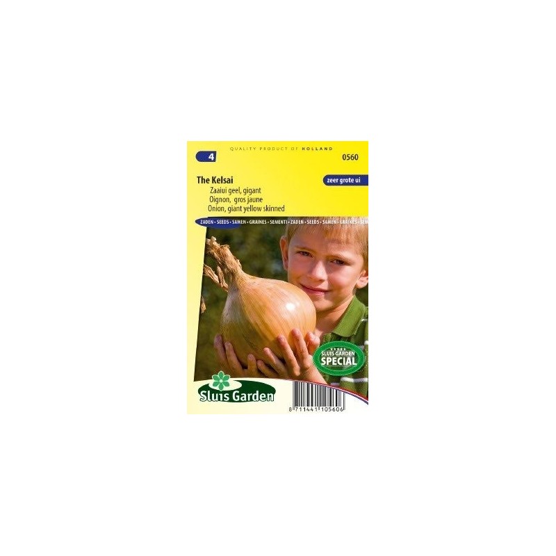 cebolla gigante The kelsai