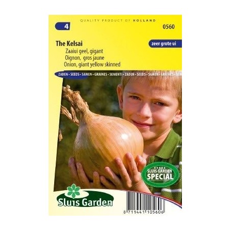 cebolla gigante The kelsai