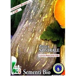 calabaza nostrale (semillas ecolÃ³gicas)