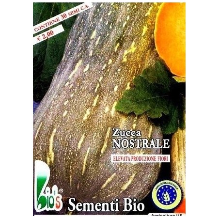 calabaza nostrale (semillas ecolÃ³gicas)