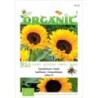 girasol zohar F1 (semillas ecolÃ³gicas)