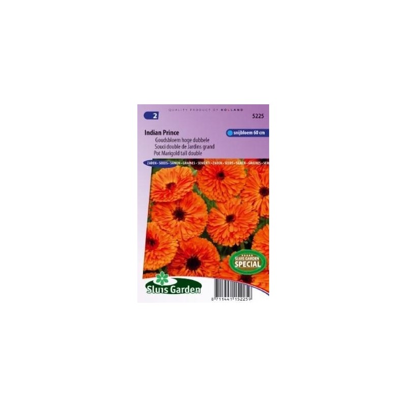 calendula principe indio (Calendula officinalis)