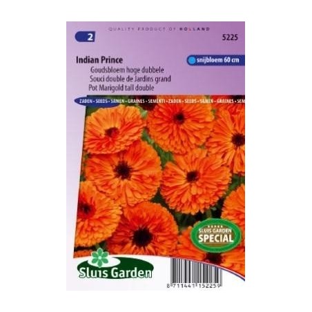 calendula principe indio (Calendula officinalis)