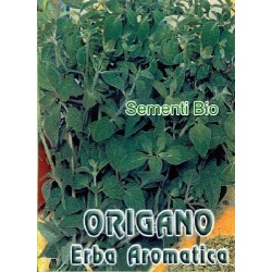 oregano (MAGGIORANA PERENNE) - semillas ecologicas