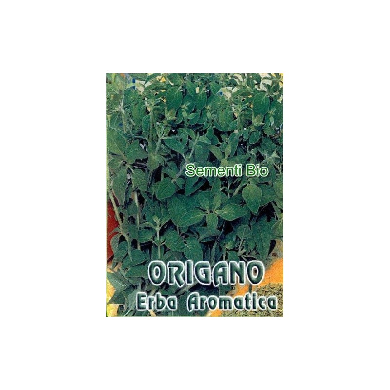 oregano (MAGGIORANA PERENNE) - semillas ecologicas