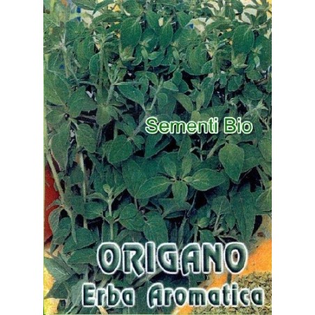 oregano (MAGGIORANA PERENNE) - semillas ecologicas