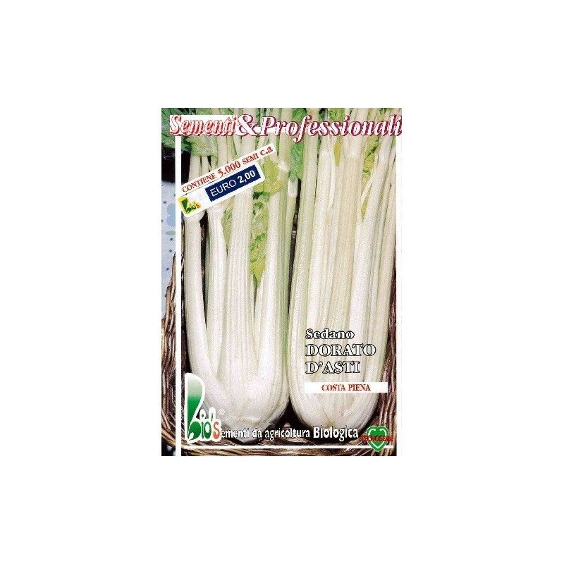 apio dorado dÂ´asti - semillas ecolÃ³gicas