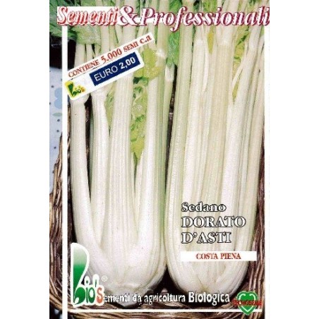apio dorado dÂ´asti - semillas ecolÃ³gicas