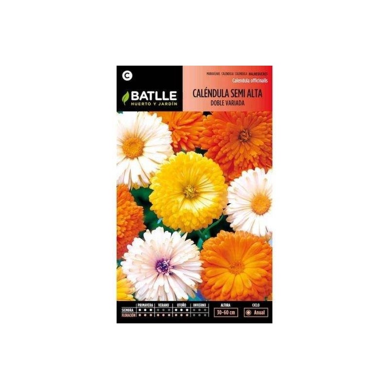 calendula semi alta doble variada (Calendula officinalis)