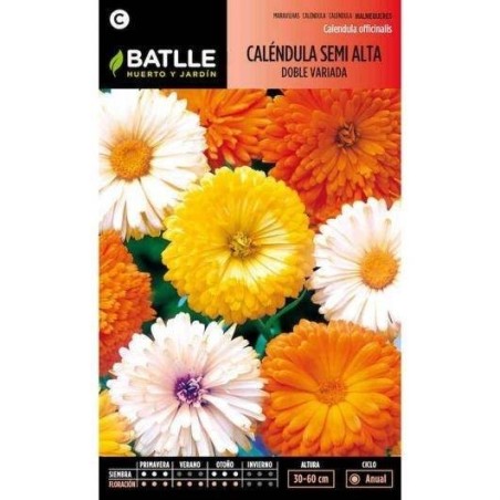calendula semi alta doble variada (Calendula officinalis)