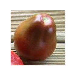 tomate japanese black trifele (semillas ecolÃ³gicas)