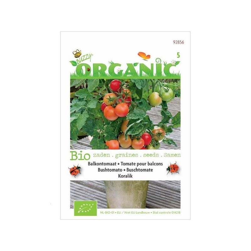 tomate colgante koralik (semillas ecologicas)