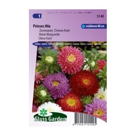 aster de la China princess choice (Callistephus chinensis)