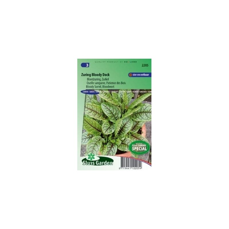 acedera roja Bloody Dock (Rumex sang.)