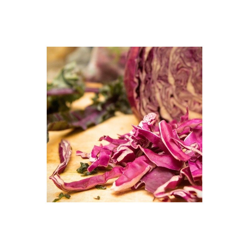 col lombarda red drumhead (semillas no tratadas)