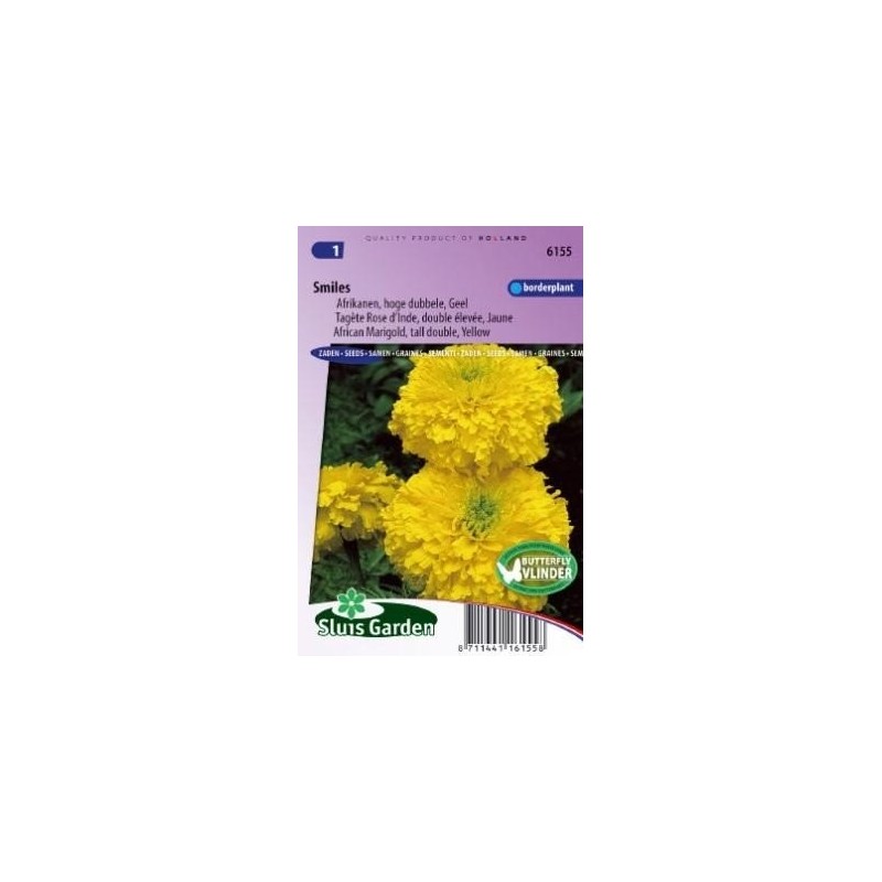 tagete amarillo doble sorisa (Tagetes erecta)