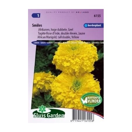 tagete amarillo doble sorisa (Tagetes erecta)