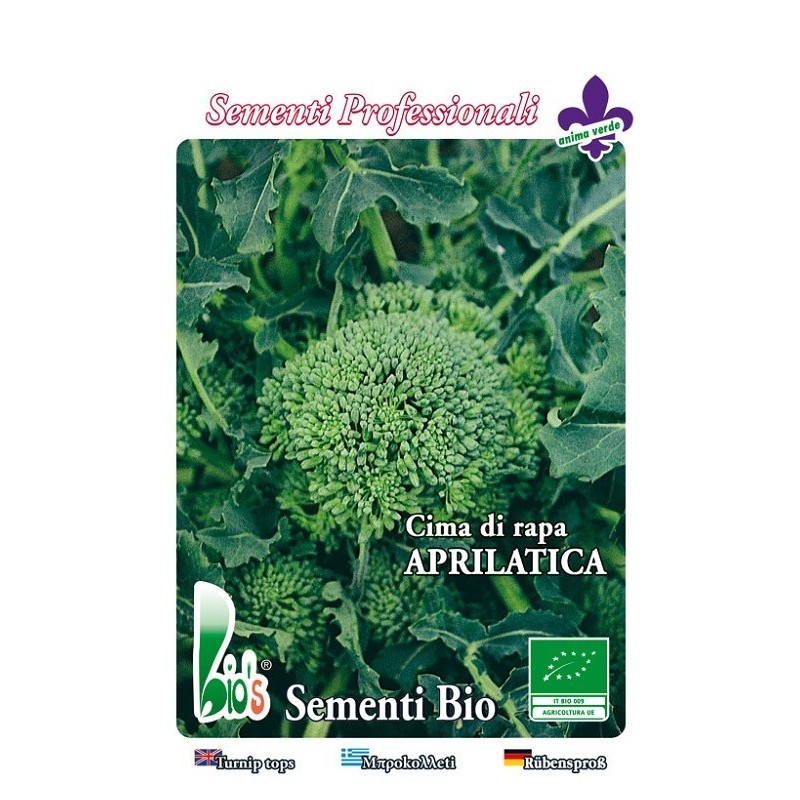 brocoli rapa Aprilatica - semillas ecologicas