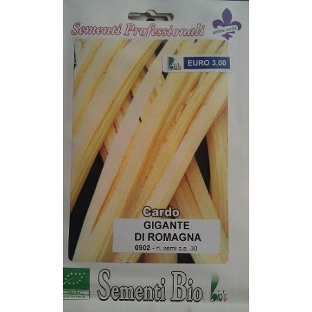 cardo gigante de romagna (semillas ecolÃ³gicas)