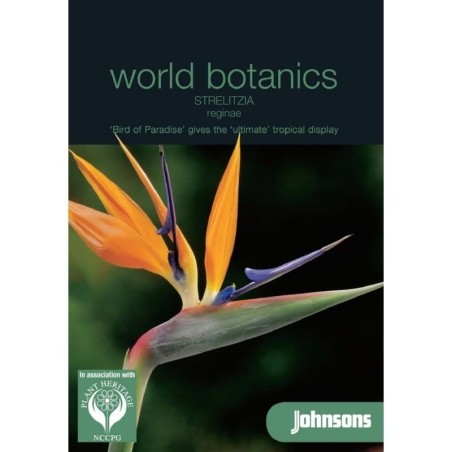 ave del paraiso - Strelitzia Reginae