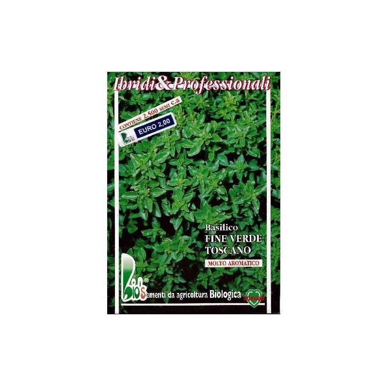 albahaca fina de la Toscana . semillas ecolÃ³gicas