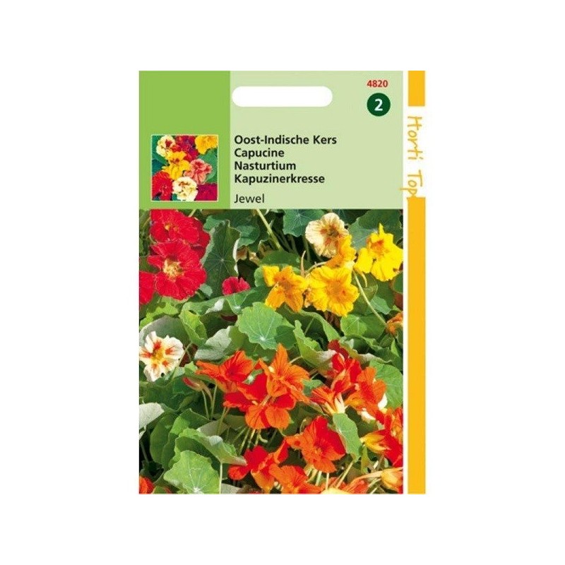 capuchina Jewel mix (Tropaeolum majus nanum)