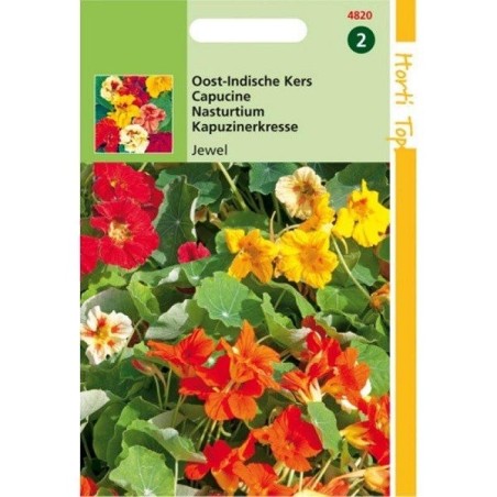 capuchina Jewel mix (Tropaeolum majus nanum)