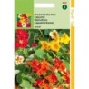 capuchina Jewel mix (Tropaeolum majus nanum)