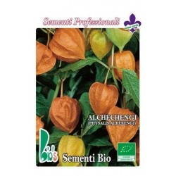 alquejenje - physalis alkekengi -  (semillas ecolÃ³gicas)